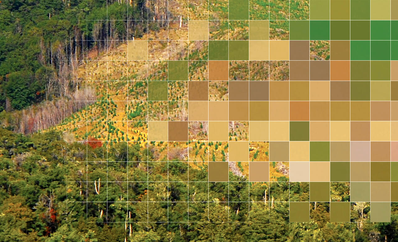 bg_image